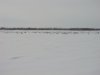 DSC01448.JPG