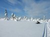 IMG_1880.JPG