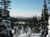 P1080447.JPG
