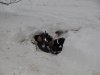 DSC04952.JPG