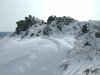 DSC04917.jpg