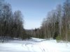 DSC04867.jpg