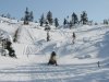IMG_2600.jpg
