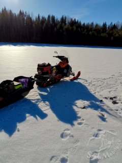 IMG_20240305_150827_513.jpg