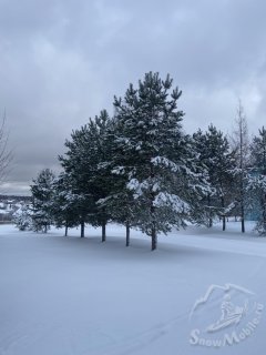 IMG_7390.jpeg