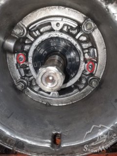20250724_073755.jpg