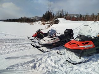 IMG_20260301_135439.jpg