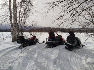 IMG_20260301_122739.jpg