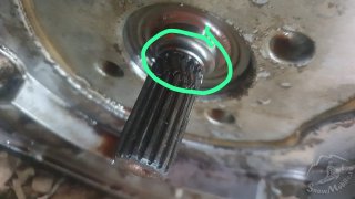 335ccefe-5c06-4280-8cb6-4cd8ac020fd9.JPG