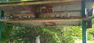 IMG_20260705_163529.jpg