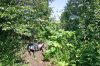 IMG_2458 copy.JPG