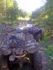 IMG_0568 copy.JPG