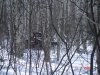 DSC02856.JPG