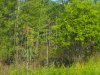 DSCF0352.jpg