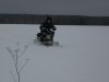 Копия P1000694.JPG