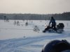 DSC01677_новый размер.JPG