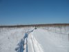 IMG_6506.jpg