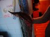 DSC00716.JPG