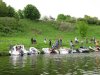 20110521_306.JPG