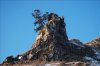 DSC_7149.jpeg