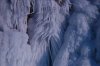DSC_7397.jpeg