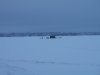 P1111090.JPG