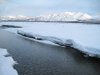 IMG_4115.JPG