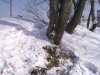 DSC05730.JPG