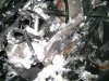 DSC05715.JPG
