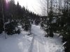 DSCF2830.jpg