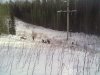 250220121393.jpg