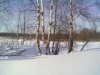 030320121527.jpg