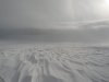 10237_58e8220dc6306f668c1787630589c774.jpg