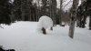 DSC02679.JPG