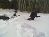 240320121569.jpg