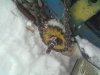 240320121563.jpg