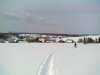 240320121585.jpg