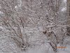 P4010511.JPG