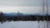 DSC09900.jpg