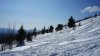 DSC09950.jpg