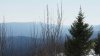 DSC09951.jpg