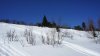 DSC09952.jpg