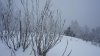 DSC09969.jpg