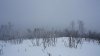 DSC09971.jpg