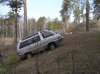 042.JPG