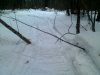 IMG0631A.jpg
