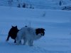 IMG_0450.JPG