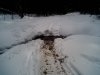 IMG0142A.jpg