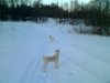 IMG0634A.jpg