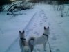 IMG0636A.jpg